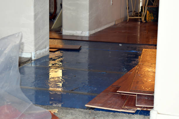 Professional Sewage Cleanup technician working in New Germany, MN